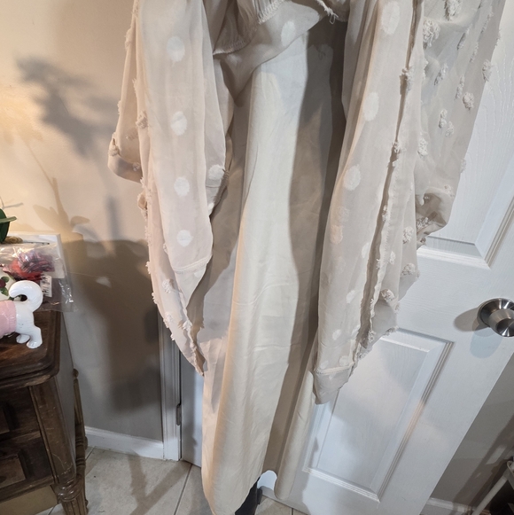 Zenana Swiss Dot Babydoll V-Neck Dress - Picture 4 of 8